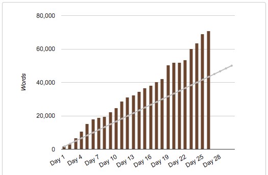 NaNo 2017 bar graph